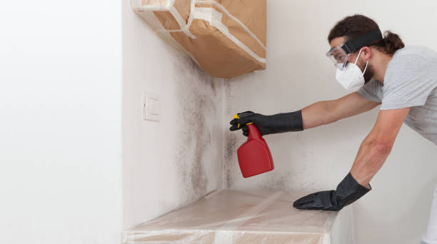 Professional Bathroom Mold Removal technician working in Dublin, PA