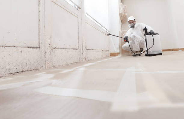 24/7 Emergency Bathroom Mold Removal experts in Dublin, PA