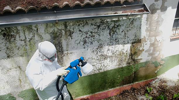 Top rated local Bathroom Mold Removal specialists in Dublin, PA